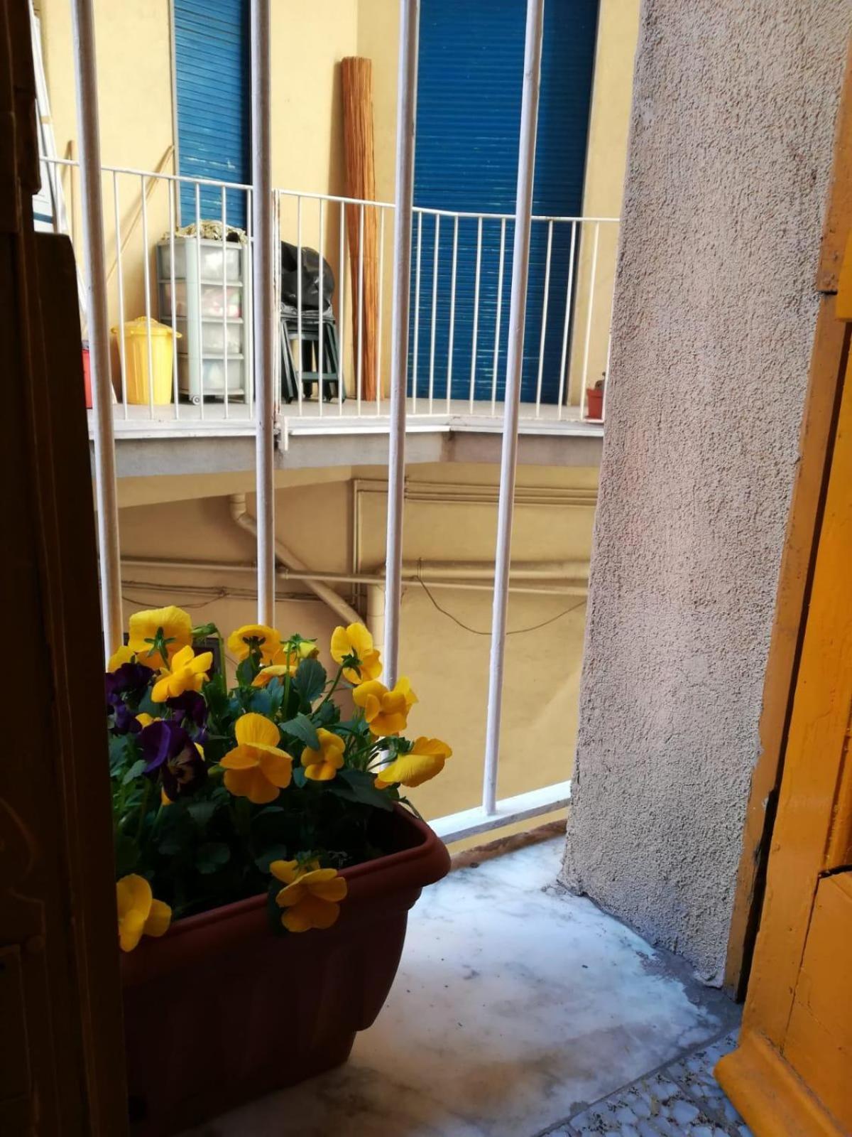 The Yellow House كاتانيا المظهر الخارجي الصورة